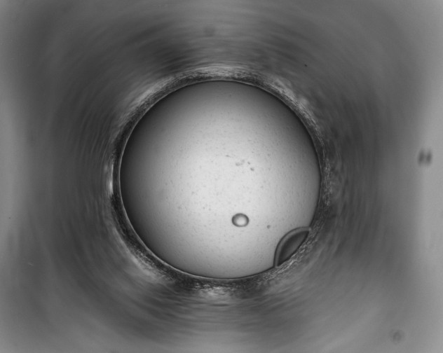 X0000100350062200806131001
