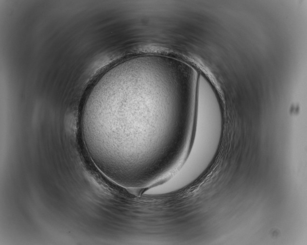 X0000100350063200806131001