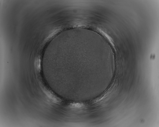 X0000100350067200806131001