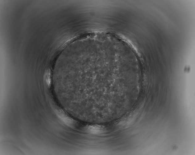 X0000100350069200806131001