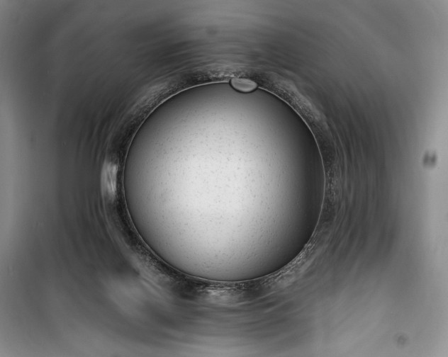 X0000100350070200806131001