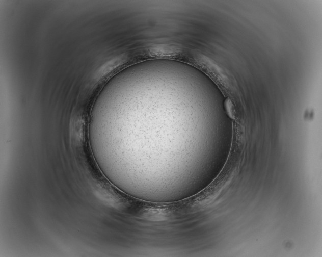 X0000100350071200806131001