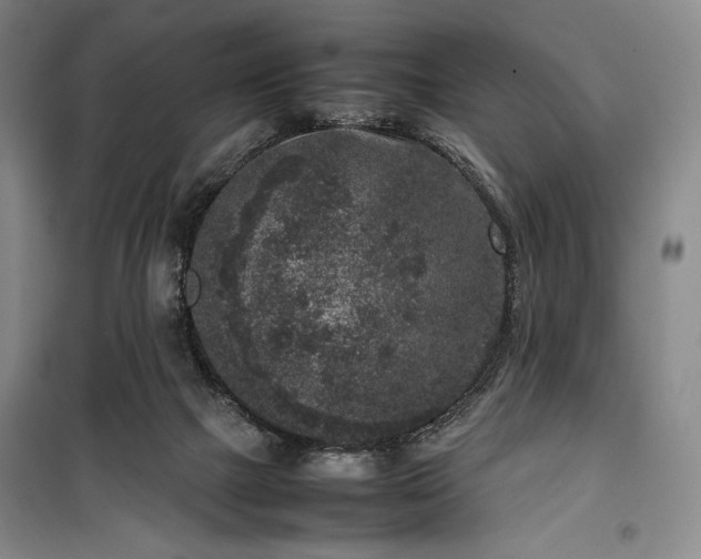 X0000100350073200806131001
