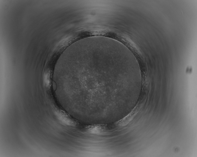 X0000100350074200806131002