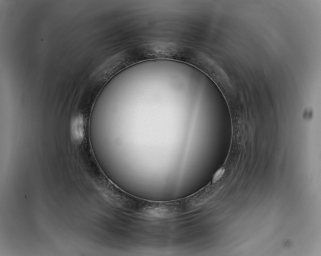X0000100350075200806131002