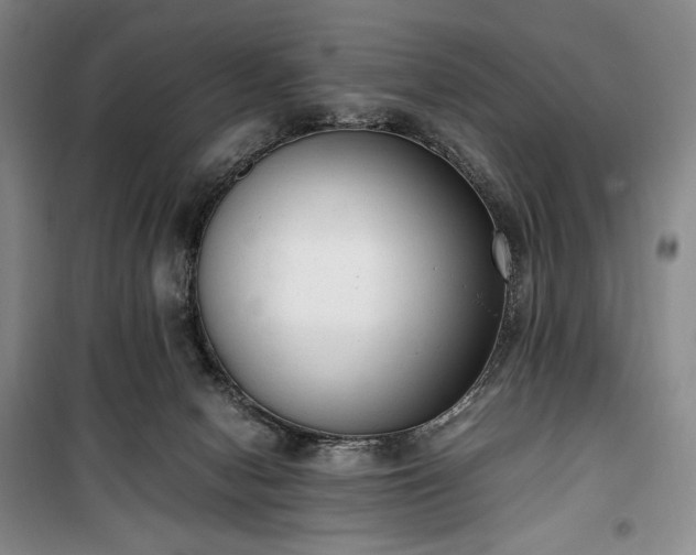 X0000100350078200806131002