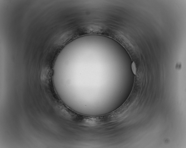 X0000100350079200806131002