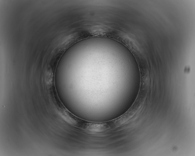 X0000100350081200806131002