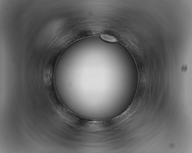 X0000100350082200806131002