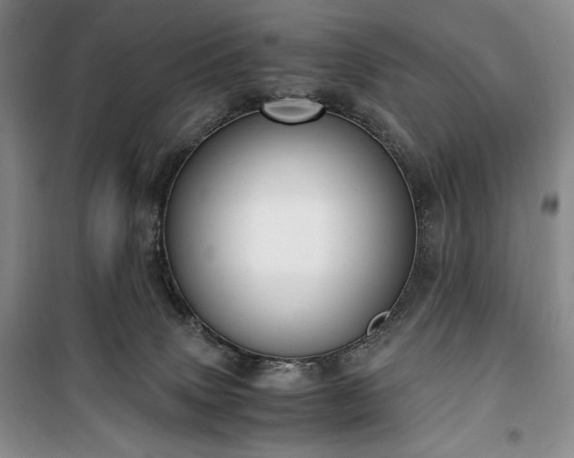 X0000100350083200806131002