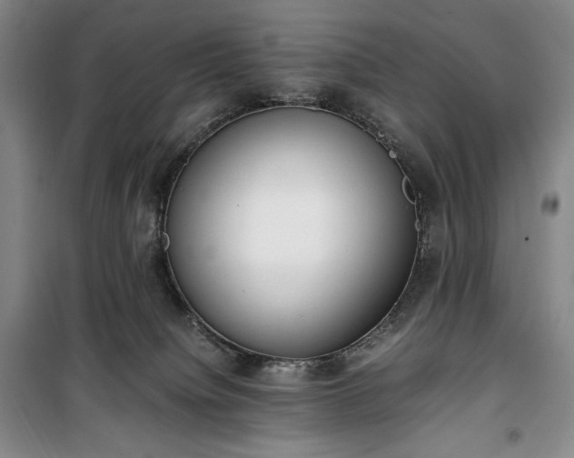X0000100350084200806131002