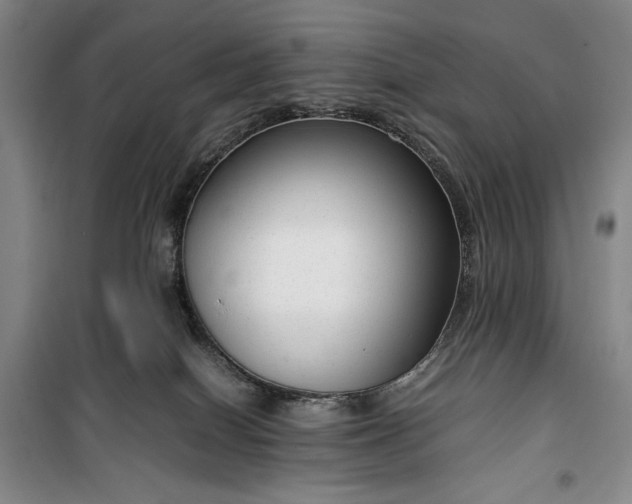 X0000100350086200806131002