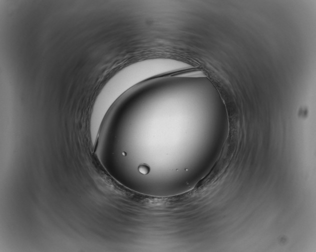 X0000100350088200806131002