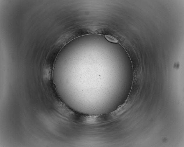 X0000100350090200806131002