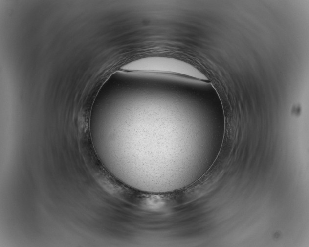 X0000100350091200806131002