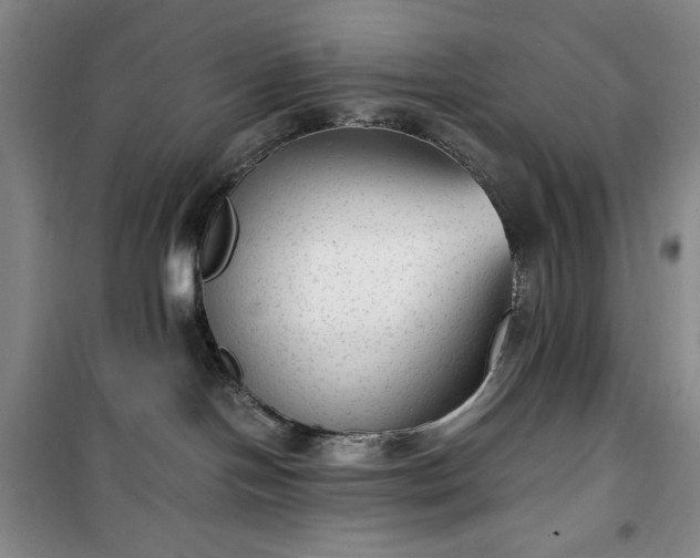 X0000100350094200806131002