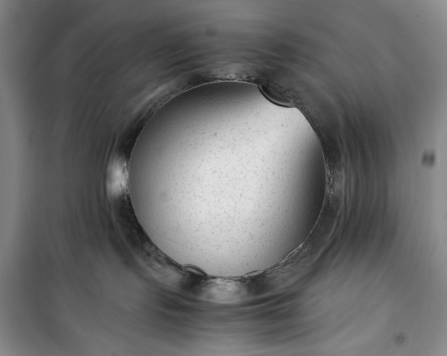 X0000100350095200806131002