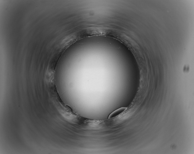X0000100350096200806131002