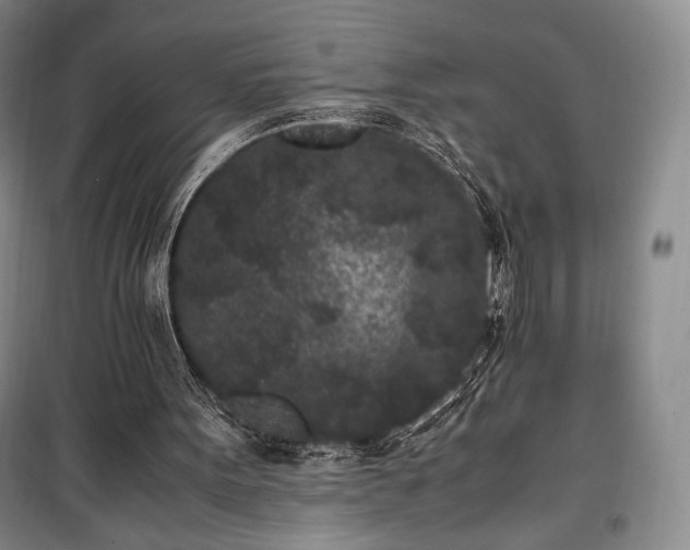 X0000100350099200806131001
