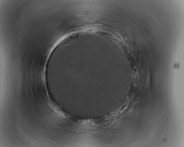 X0000100350100200806131001
