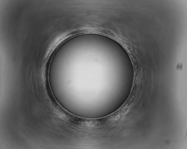 X0000100350103200806131001