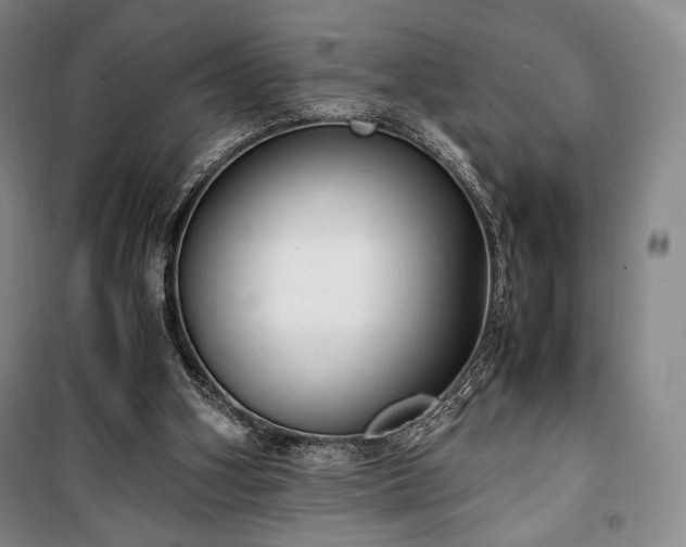 X0000100350106200806131001