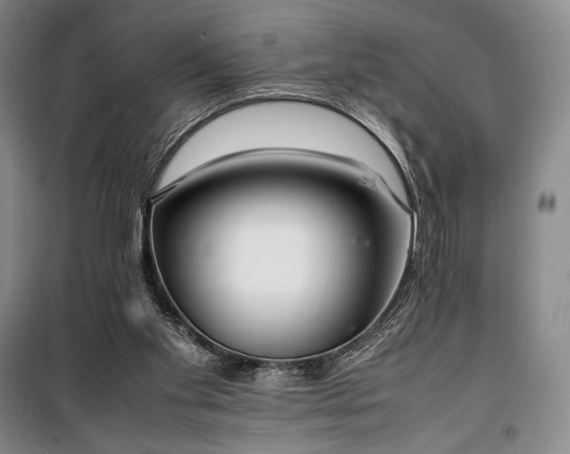 X0000100350109200806131001