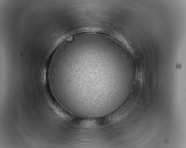 X0000100350110200806131001