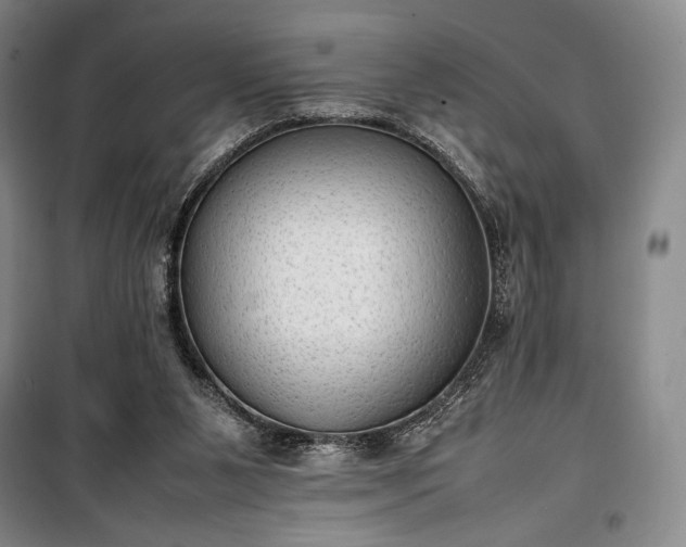 X0000100350111200806131001