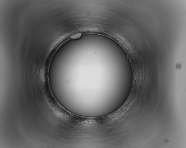 X0000100350112200806131001