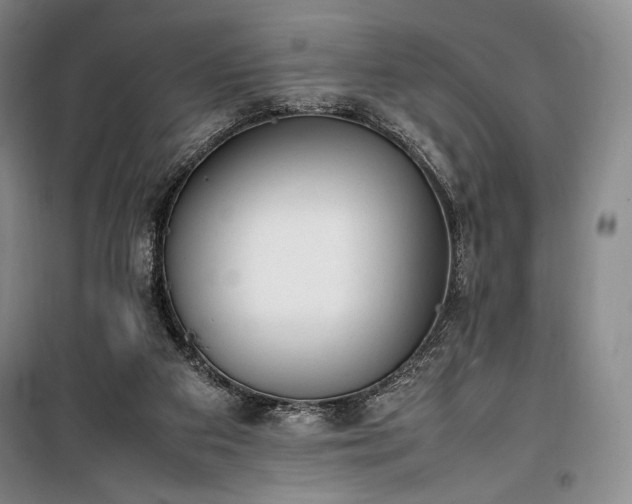 X0000100350113200806131001