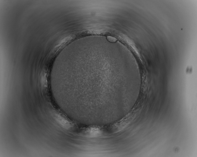 X0000100350114200806131001