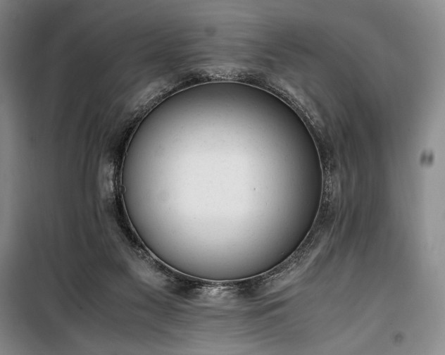 X0000100350117200806131001