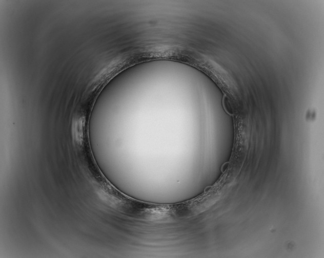 X0000100350118200806131001