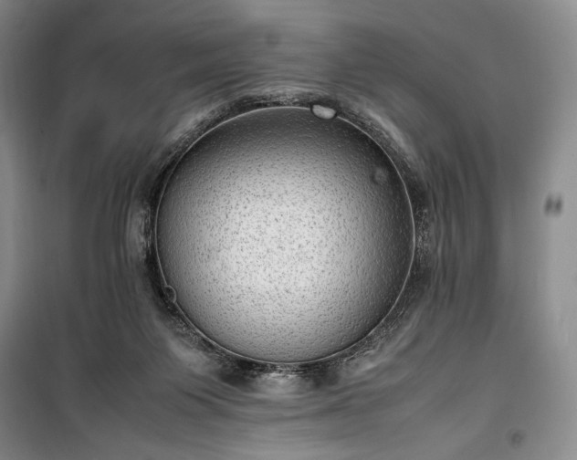 X0000100350119200806131001