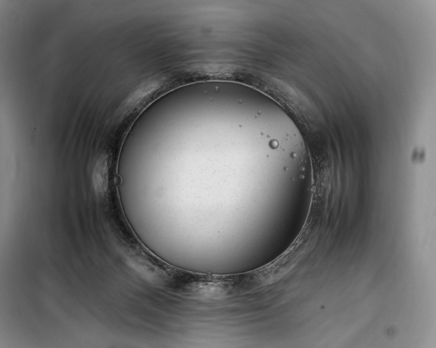 X0000100350120200806131001