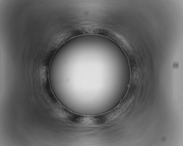 X0000100350121200806131001