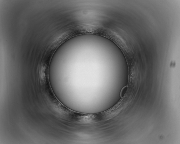 X0000100350122200806131001