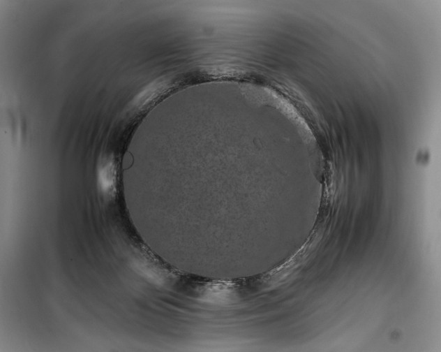 X0000100350124200806131001