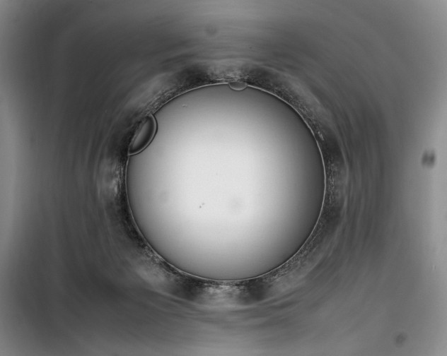 X0000100350125200806131001