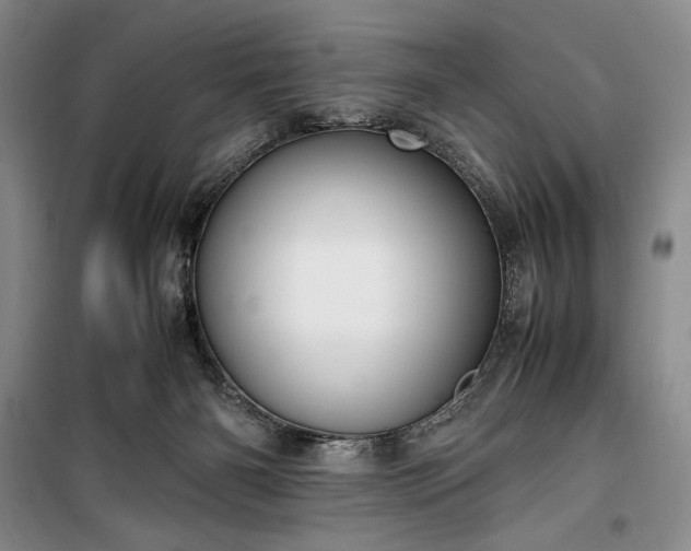 X0000100350126200806131001