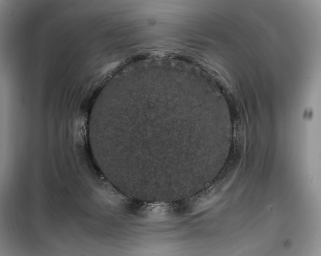X0000100350127200806131001