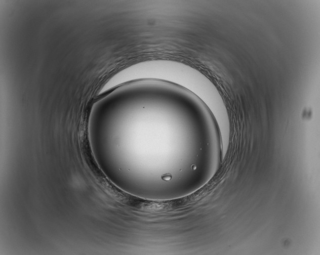 X0000100350129200806131001