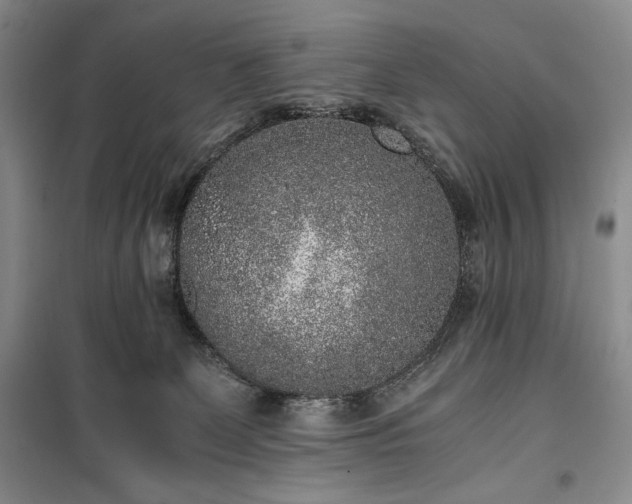X0000100350131200806131001