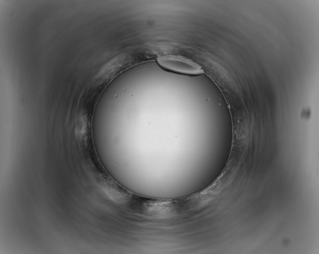 X0000100350132200806131001