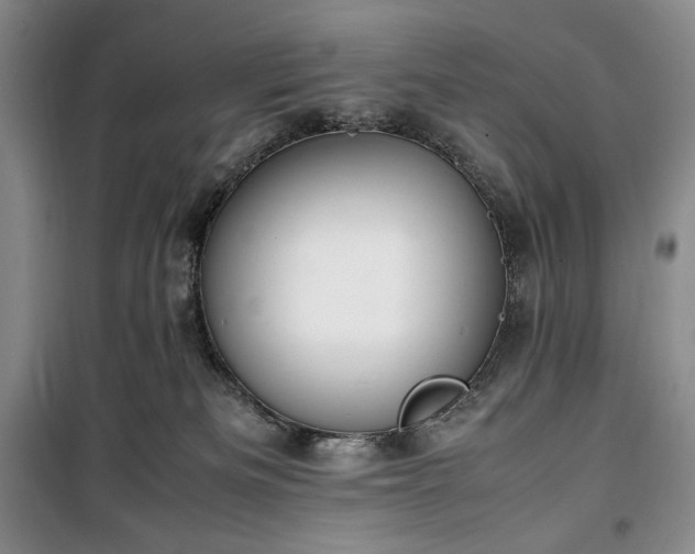X0000100350133200806131001