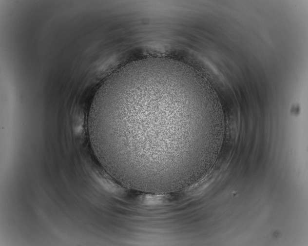 X0000100350134200806131001