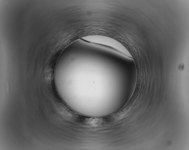 X0000100350135200806131001