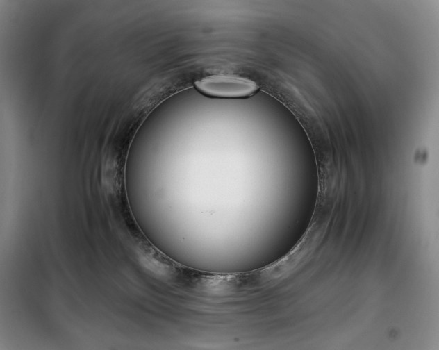 X0000100350136200806131001