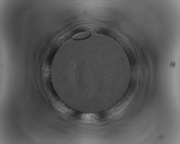 X0000100350137200806131001